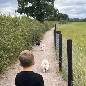 Dog walking trail in Rossett