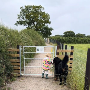 Dog on walk in Rossett