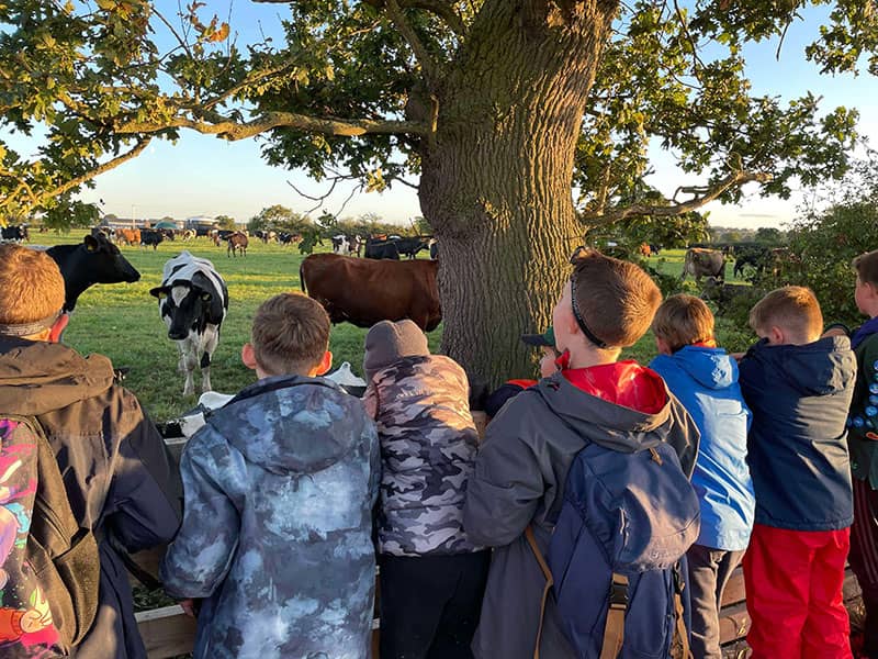 Children watching cows from dog walking trail